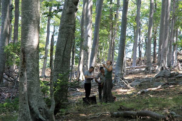 Lettre d’info n°31 : Génétique et préservation de la biodiversité