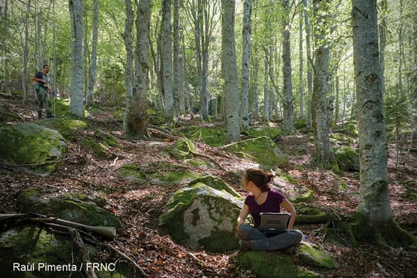 Lettre d’info n°35 : Green, coopération transfrontalière