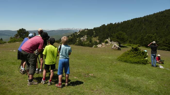 Observation de rapaces par un groupe d'enfant