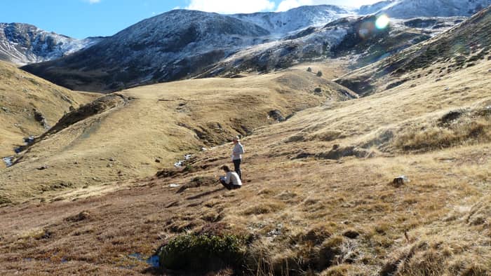 Tournée de fin d'estive à la réserva naturelle nationale d'Eyne