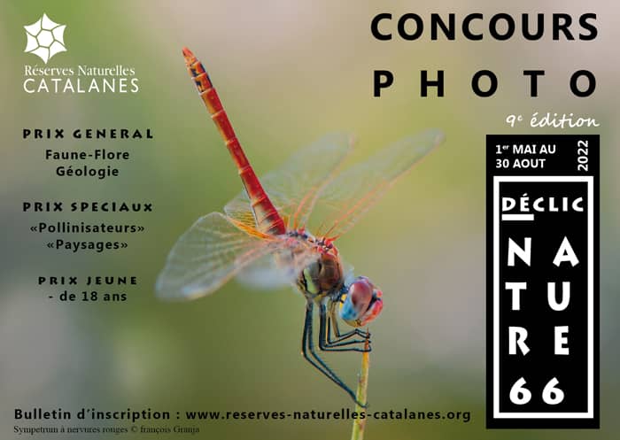 Affiche concours déclic nature 66 2022