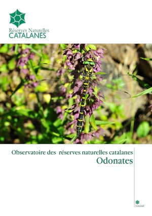 couverture rapport d'étude observatoire odonates 2011 Morichon