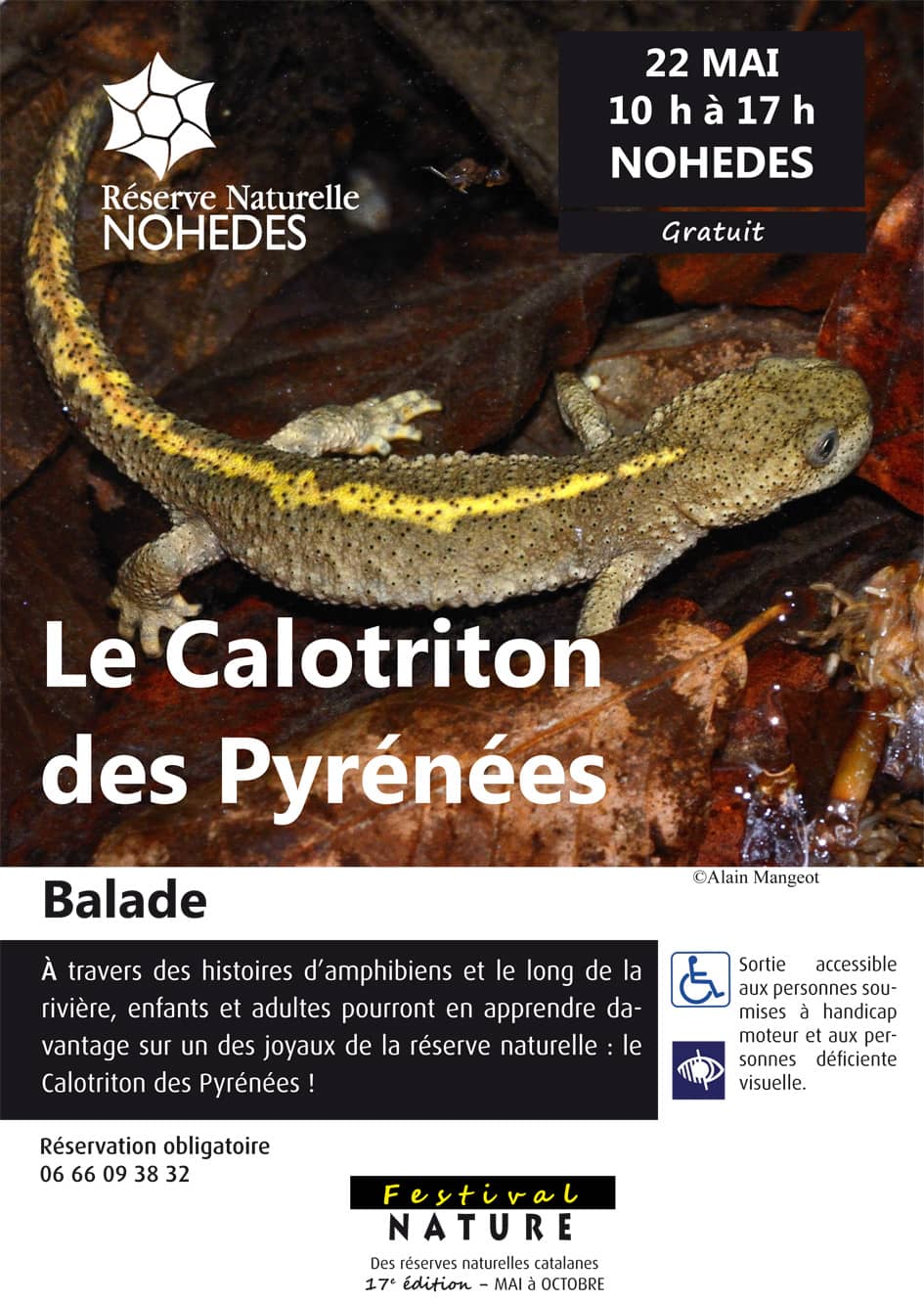 Affiche animation découverte du calotriton à Nohèdes