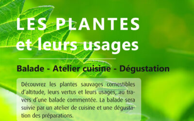 Les plantes et leurs usages