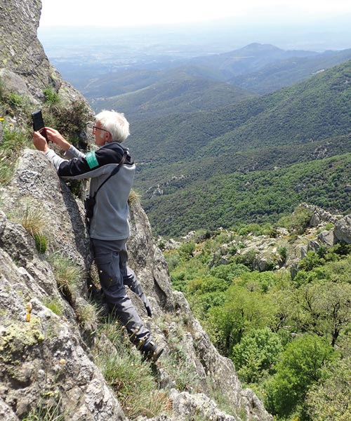 Étude génétique de la  Pédiculaire fausse-asperge sur éboulis et escarpement rocheux