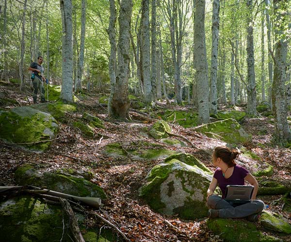 Réserve naturelle de Py, massif de la  Secallosa