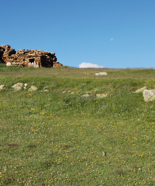 Pelouse de Cortal Broch, réserve naturelle de Jujols