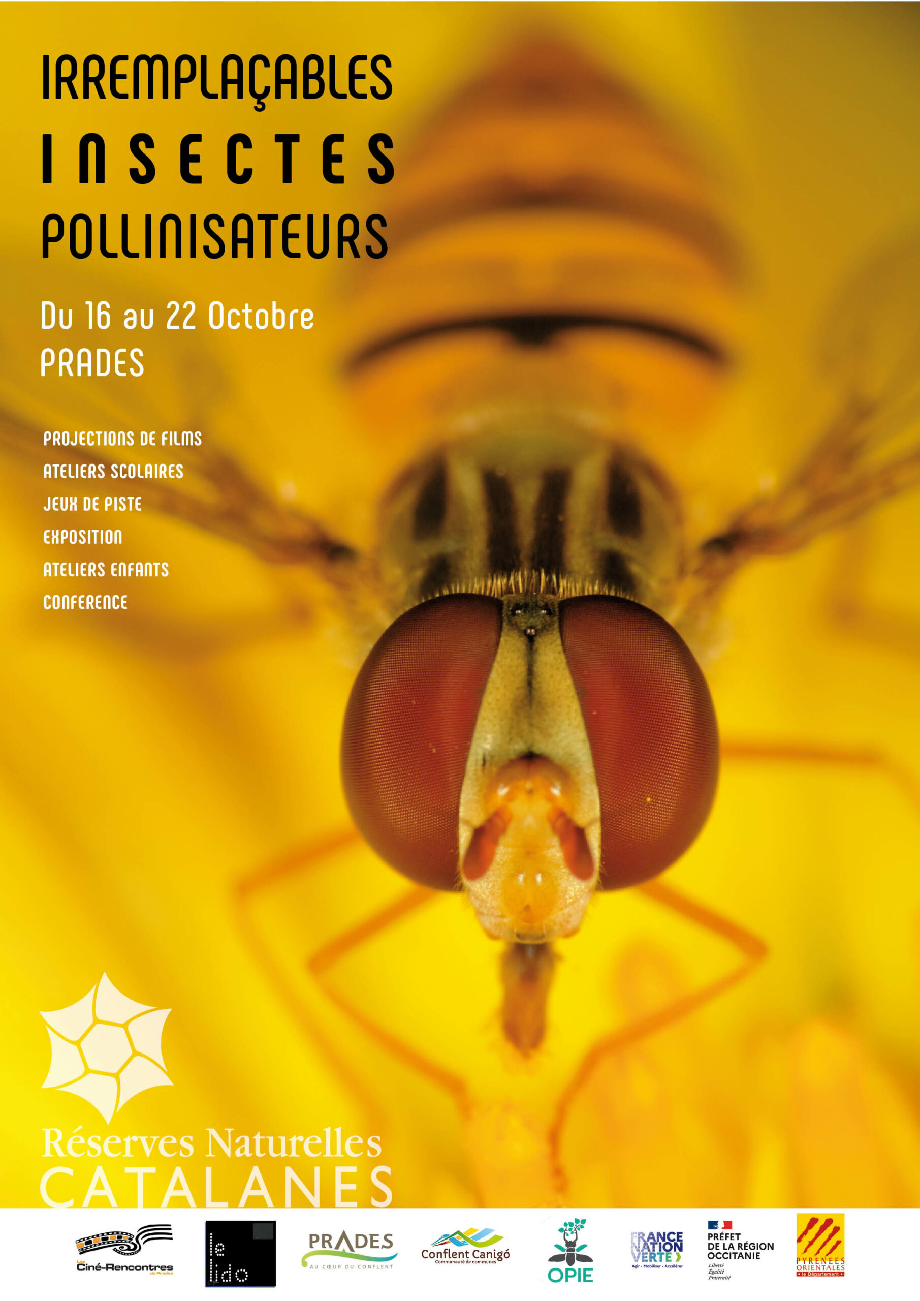 Irremplaçable insectes pollinisateurs