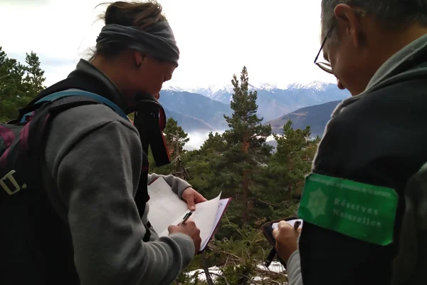 Agents de réserve qui suivent l'hivernage des oiseaux communs