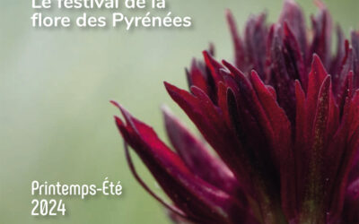 Festi’flora 2024