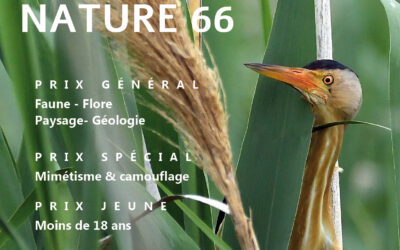 Déclic Nature 66